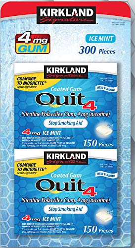 Kirkland Signature Coated Gum Quit Ice Mint 4 mg 150 Piezas
